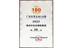 广西民营企业100强